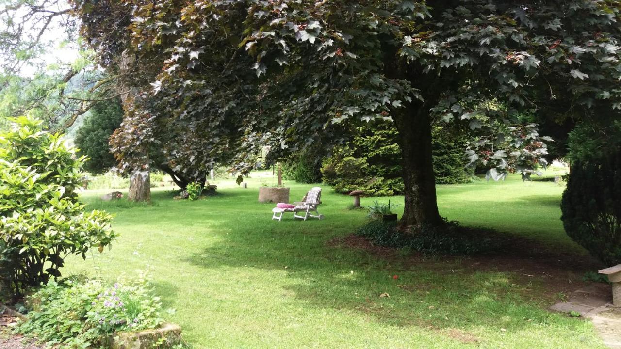 Faucogney-et-la-Mer Pied Des Milles Etang - Les Capucins B&B 외부 사진