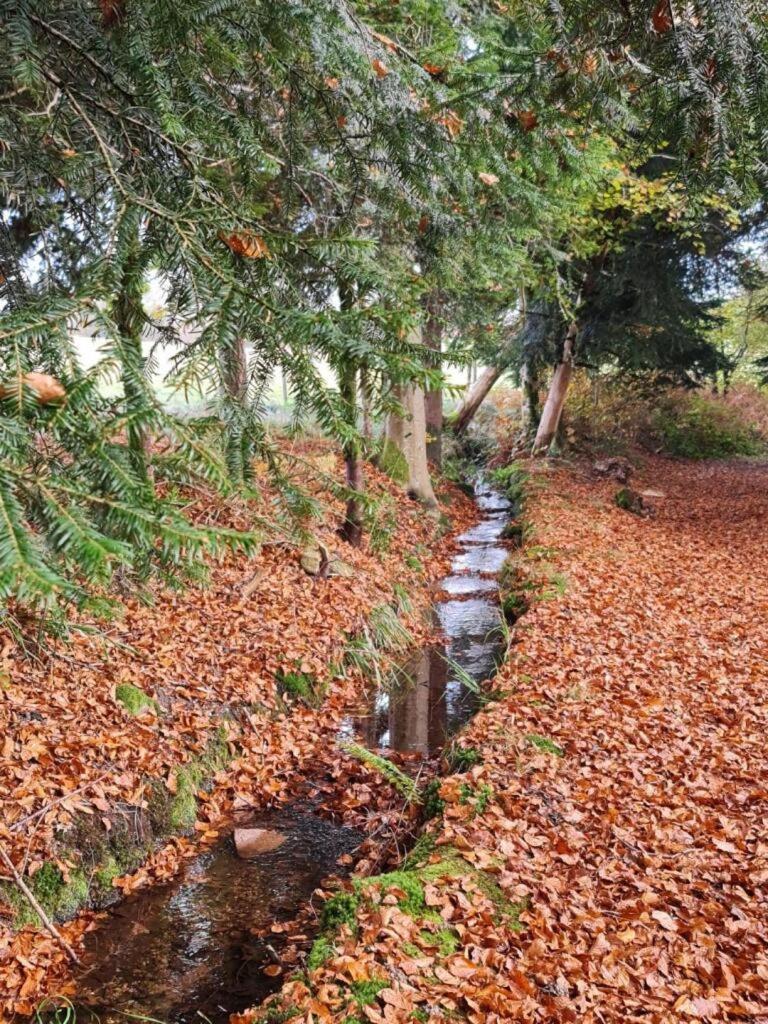 Faucogney-et-la-Mer Pied Des Milles Etang - Les Capucins B&B 외부 사진