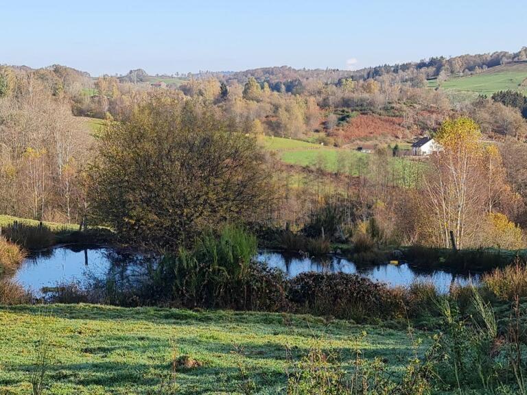 Faucogney-et-la-Mer Pied Des Milles Etang - Les Capucins B&B 외부 사진
